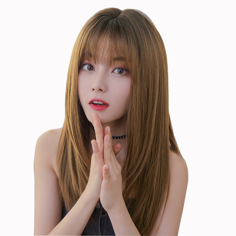 "BLACK BROWN LONG STRAIGHT" WIG H041909