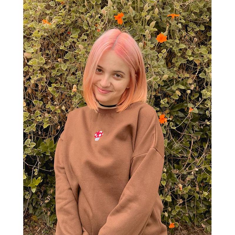 [@aryyzona] "MUSHROOM EMBROIDERY" SWEATSHIRT N030203