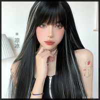 Black Long Straight Highlight Mixed Color Wig UB7328