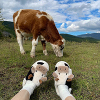 Girl Cute Cartoon Cow Cotton Slippers UB3483