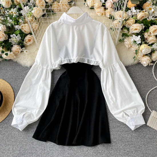 half shirt half skirt dress Daisy Sheer Shirt Half Mesh Skirt Set Dress  Joy of ShRu